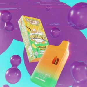 Nostalgic Vibes Disposable