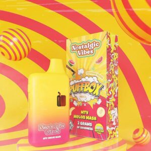 Nostalgic Vibes Disposable