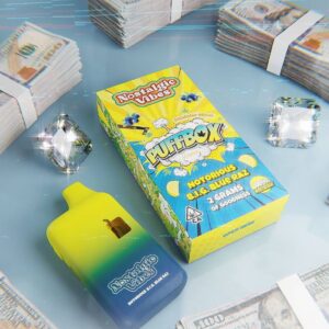 Nostalgic Vibes Disposable