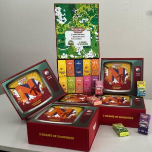 Nostalgic Vibes Disposable